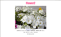 ǎQEflower2